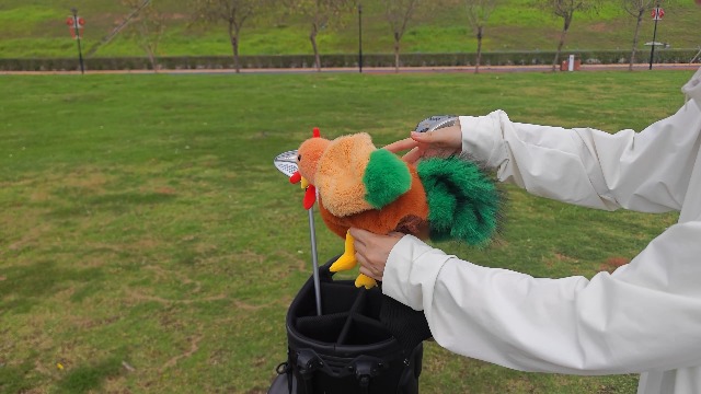 Amazon.com: Lay Eggs Chicken Funny Driver Headcover Long Sock